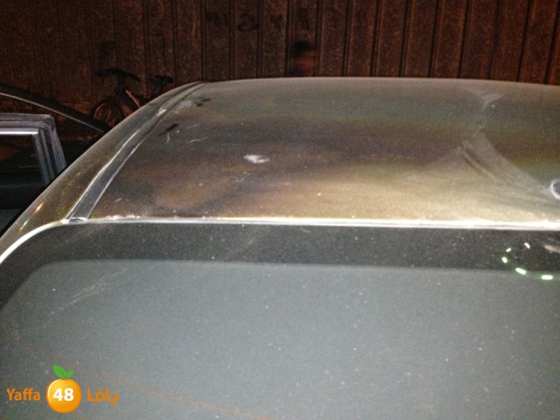 firelud608608 (5).jpg